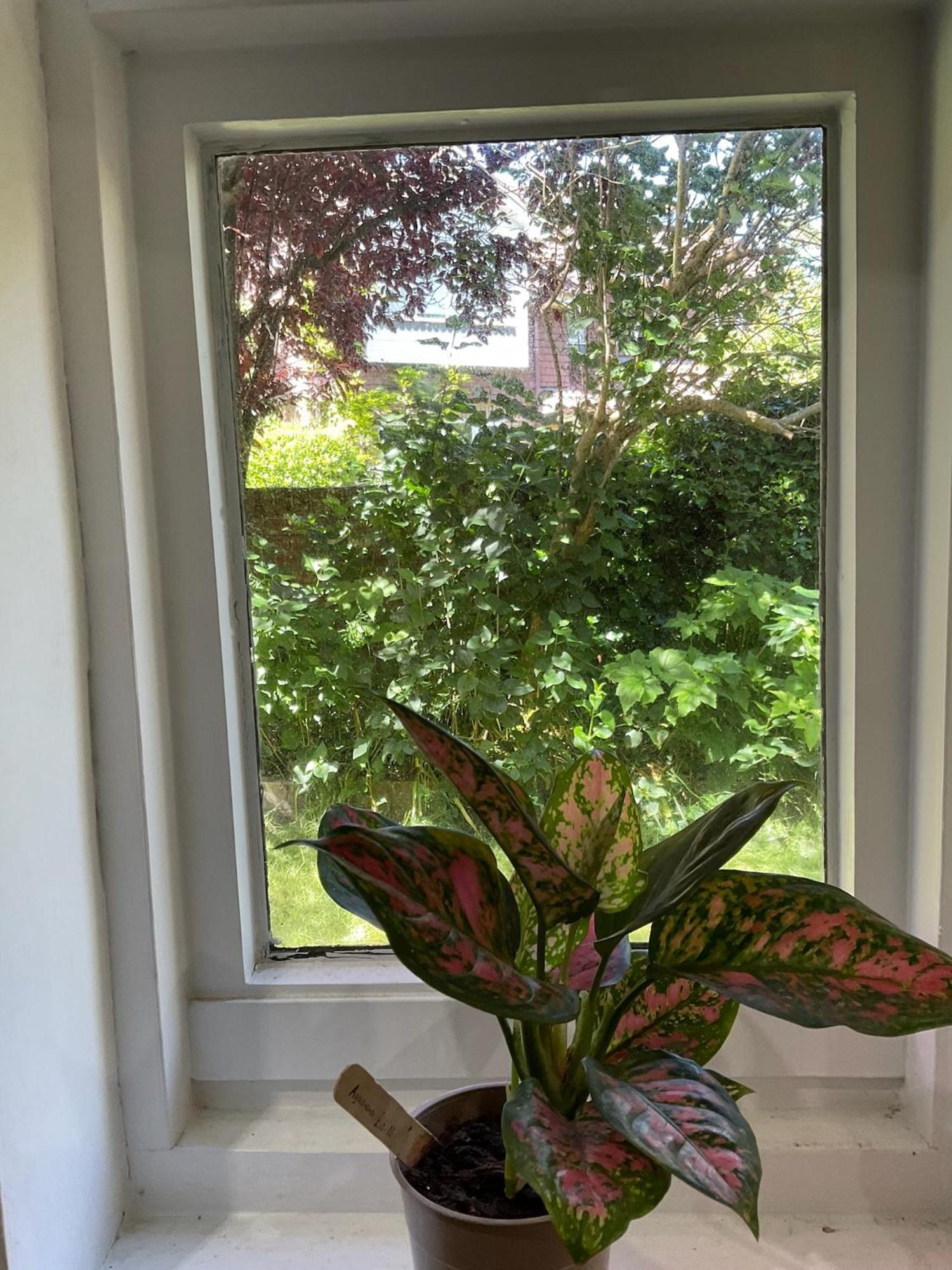 Lewes Garden Room - Free Parking Ngoại thất bức ảnh